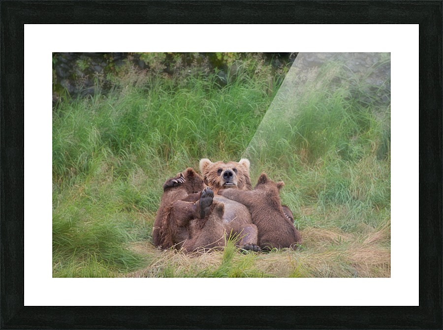 IMG_2426 Picture Frame print