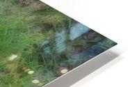 IMG_2426 HD Metal print