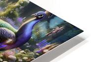  Peacock Garden HD Metal print