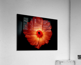 flower fire Acrylic Print