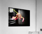 rose Acrylic Print