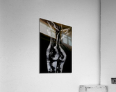 nu 2 Acrylic Print