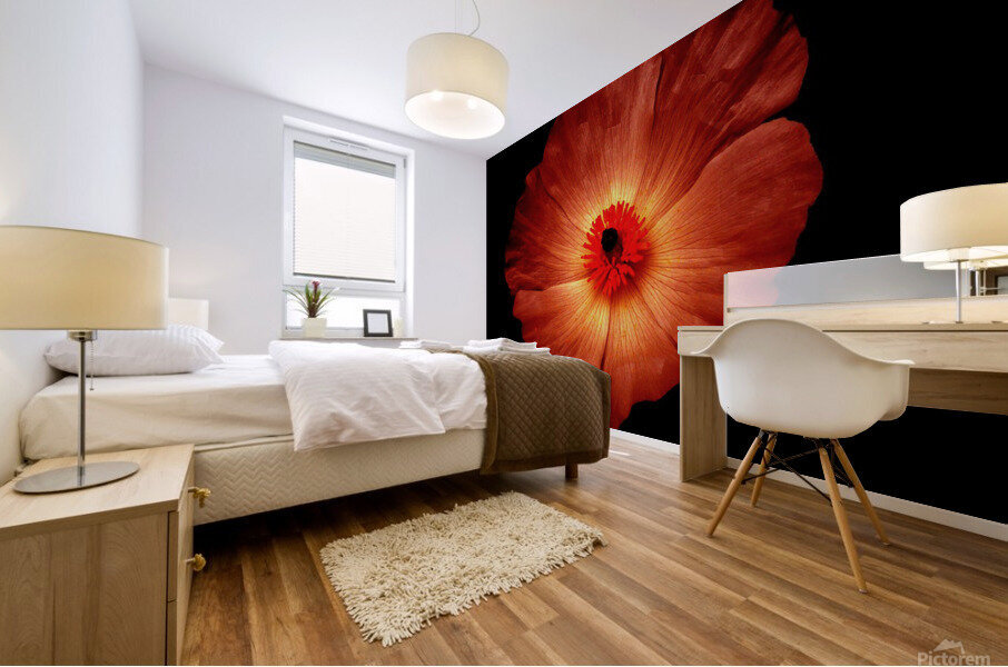 flower fire Mural print