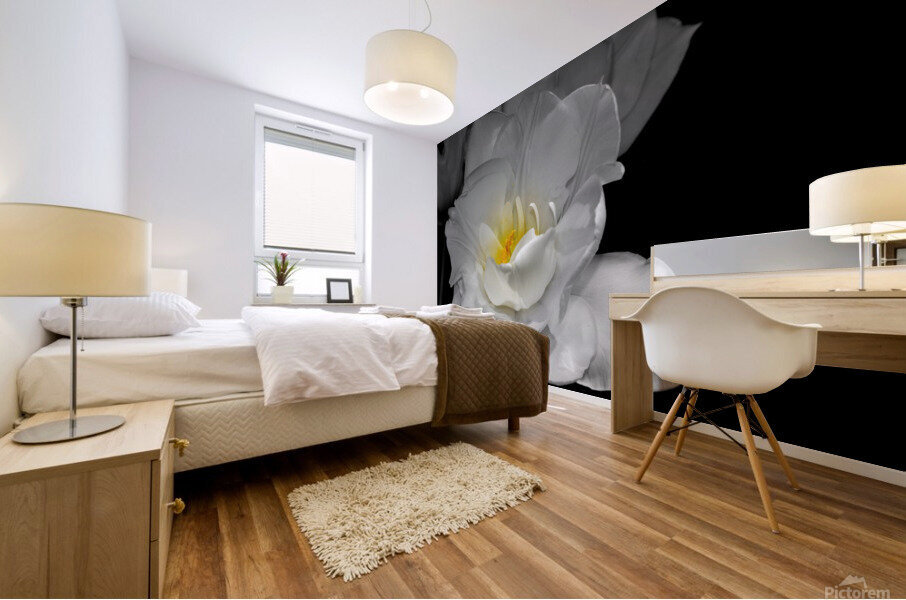 tulipe  Mural print