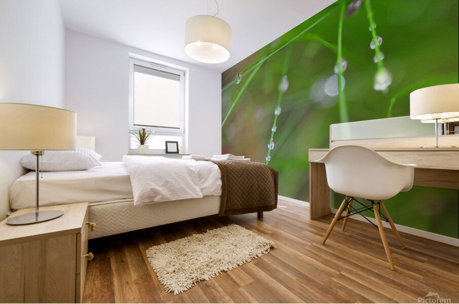 green Mural print