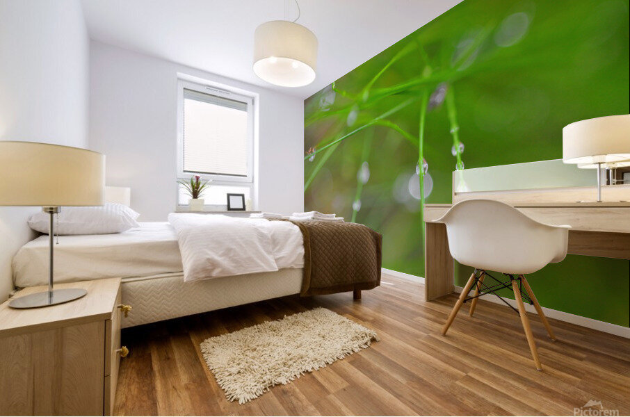 green Mural print
