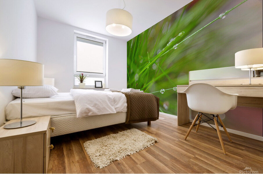 green Mural print