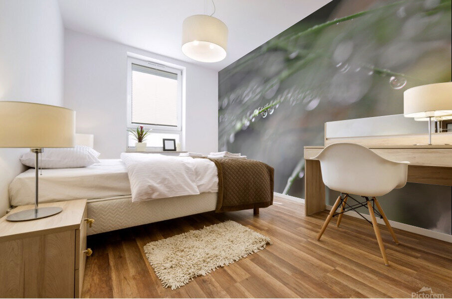 drops Mural print