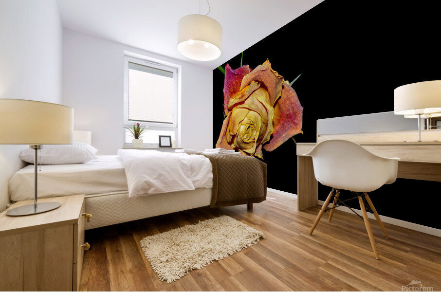 roses Mural print