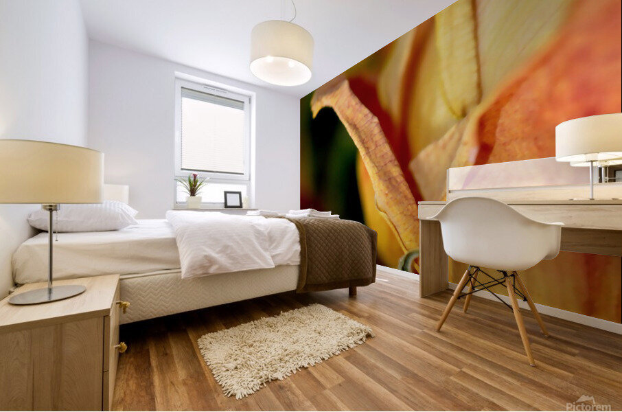 reve de roses Mural print