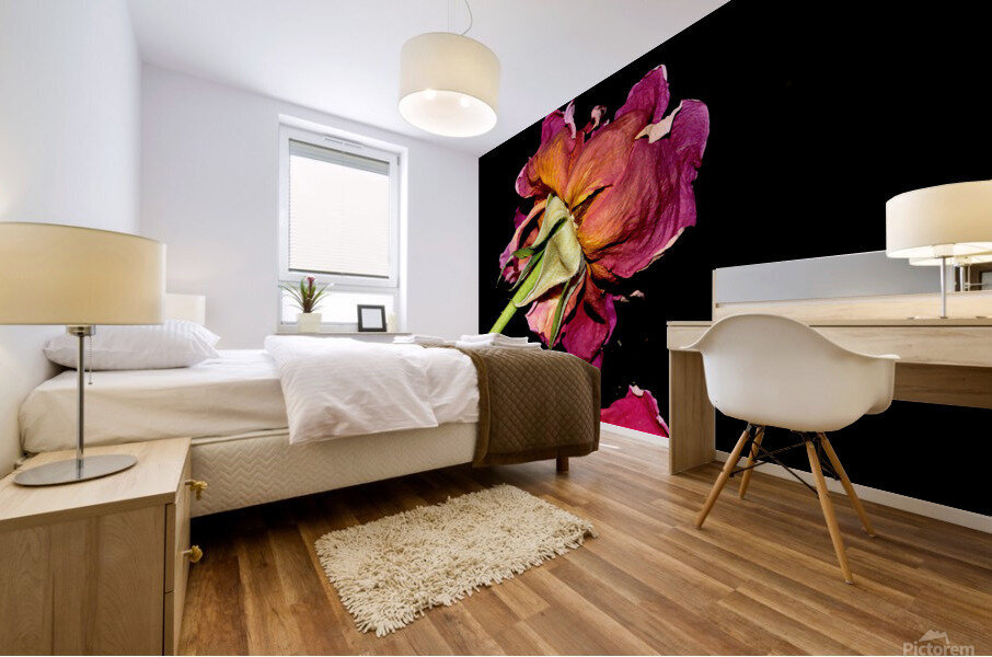 rose Mural print