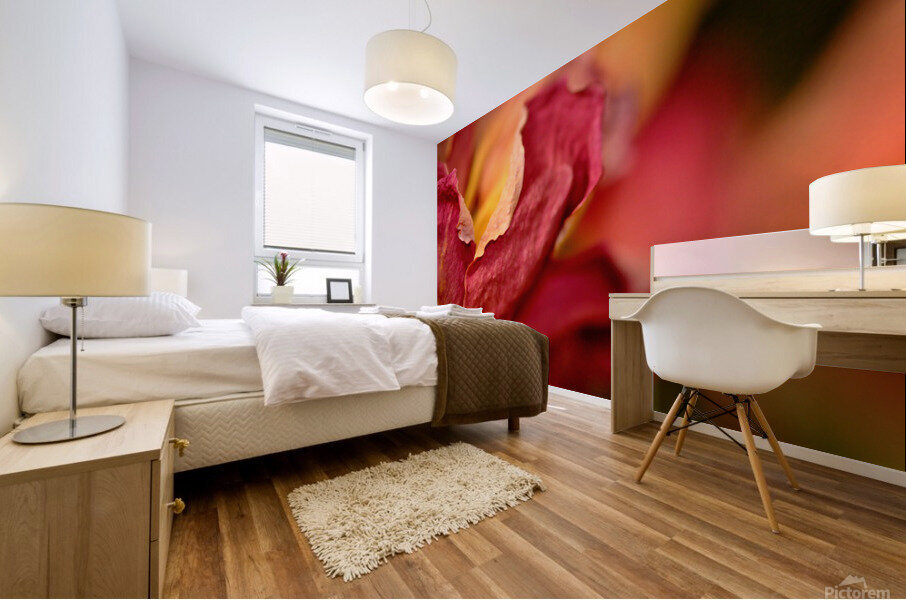 reve de roses Mural print