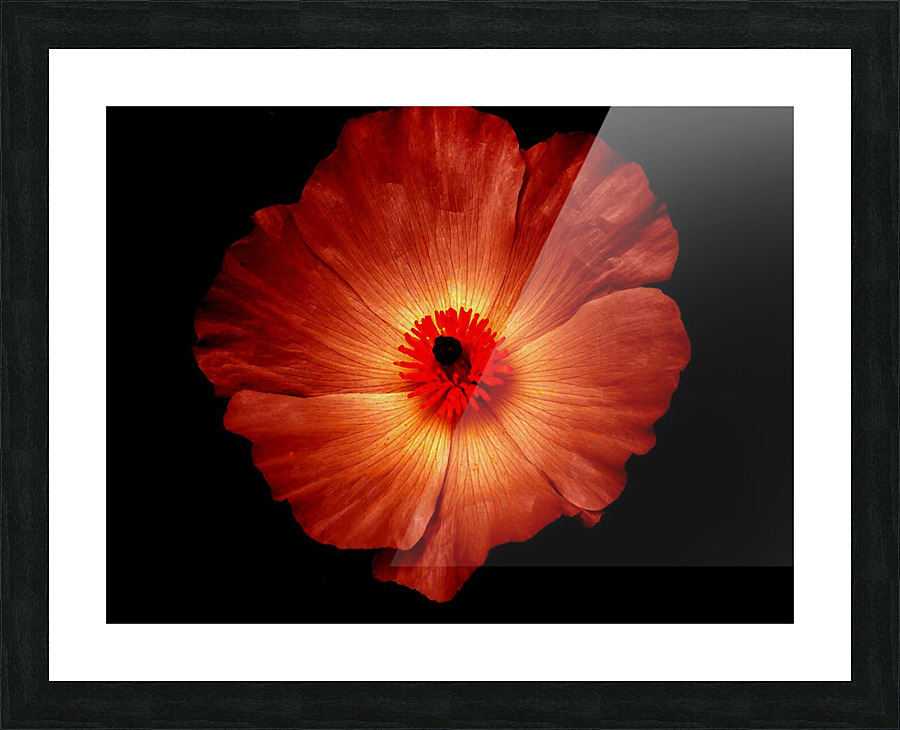 flower fire Picture Frame print