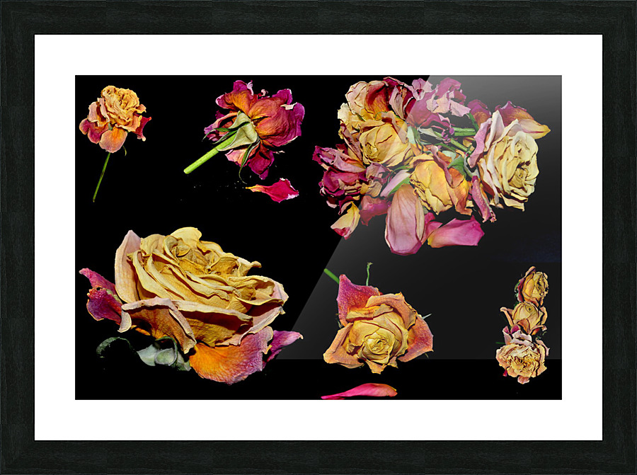 LES ROSES1  Picture Frame print