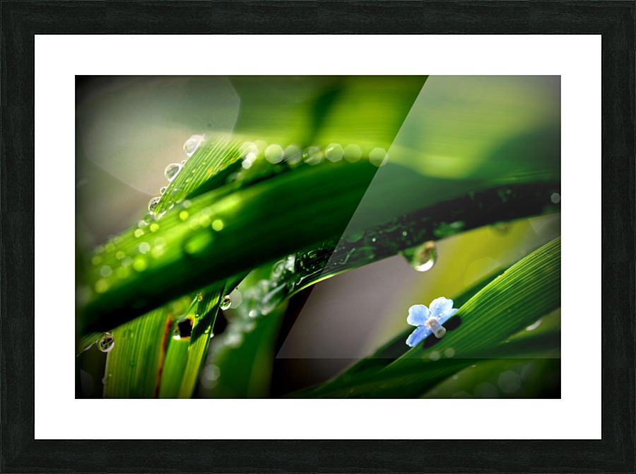 green Picture Frame print