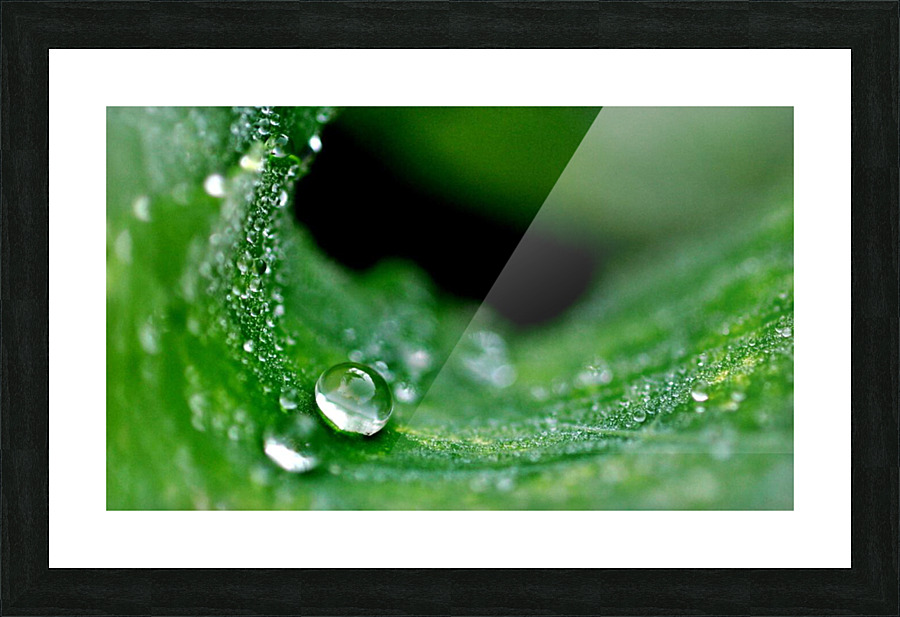 green Picture Frame print