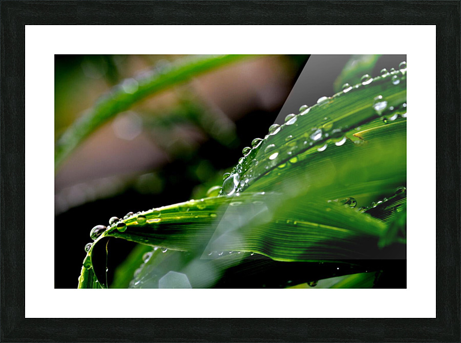 green Picture Frame print