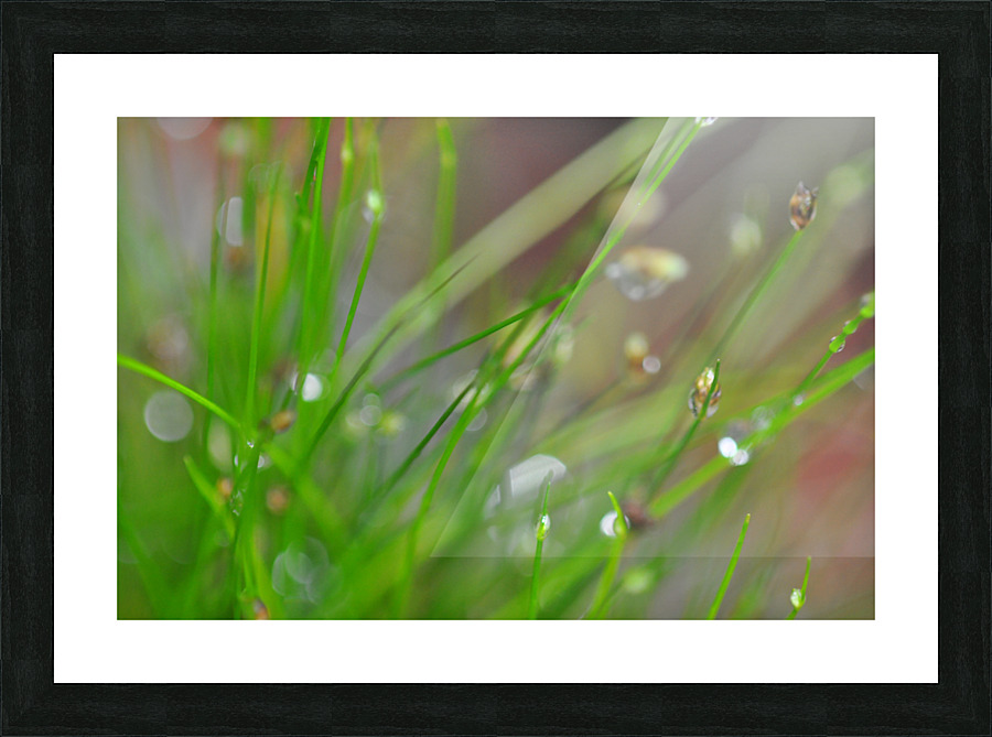 green Picture Frame print