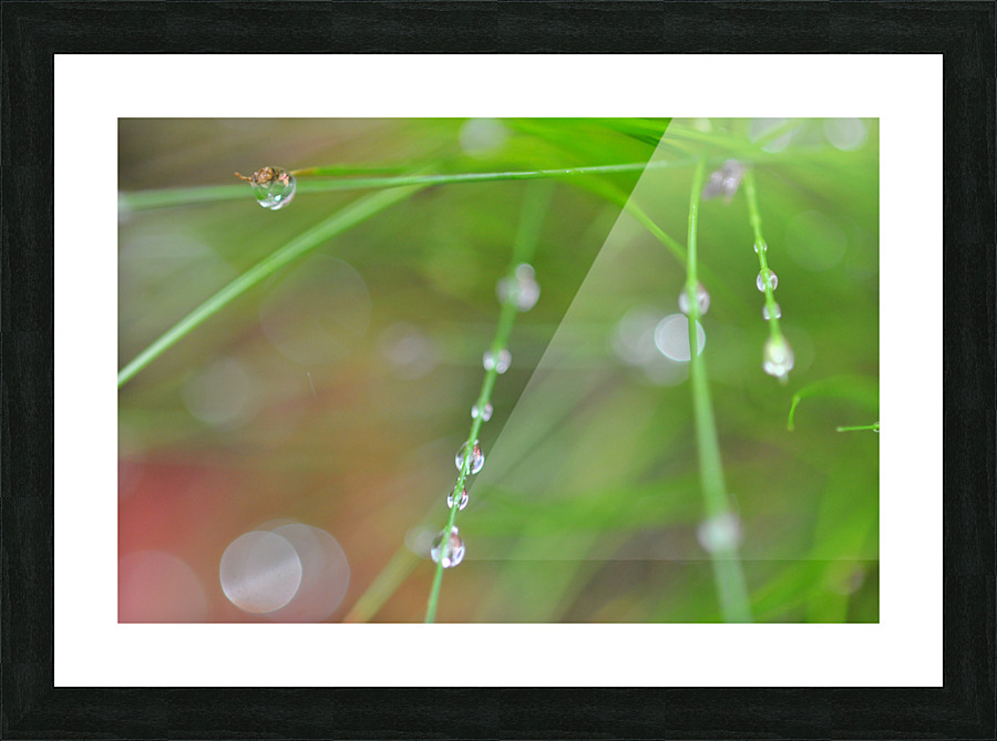 green Picture Frame print