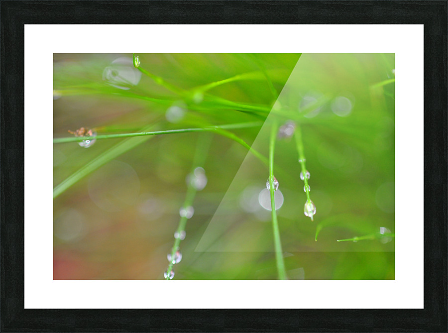 green Picture Frame print