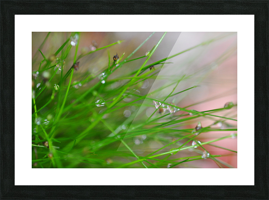 green Picture Frame print