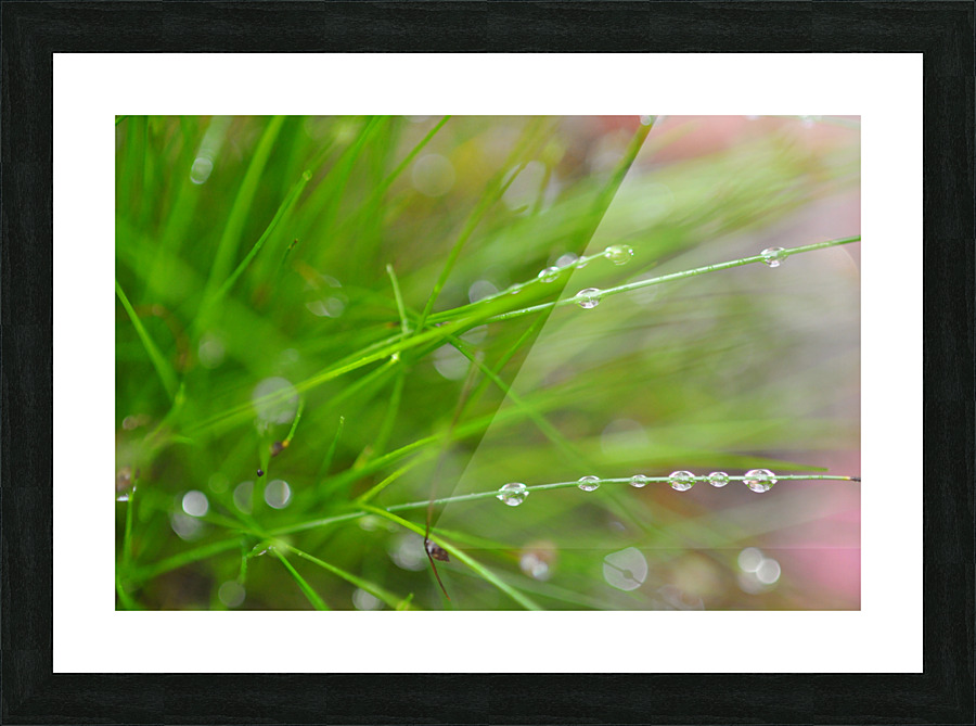 green Picture Frame print