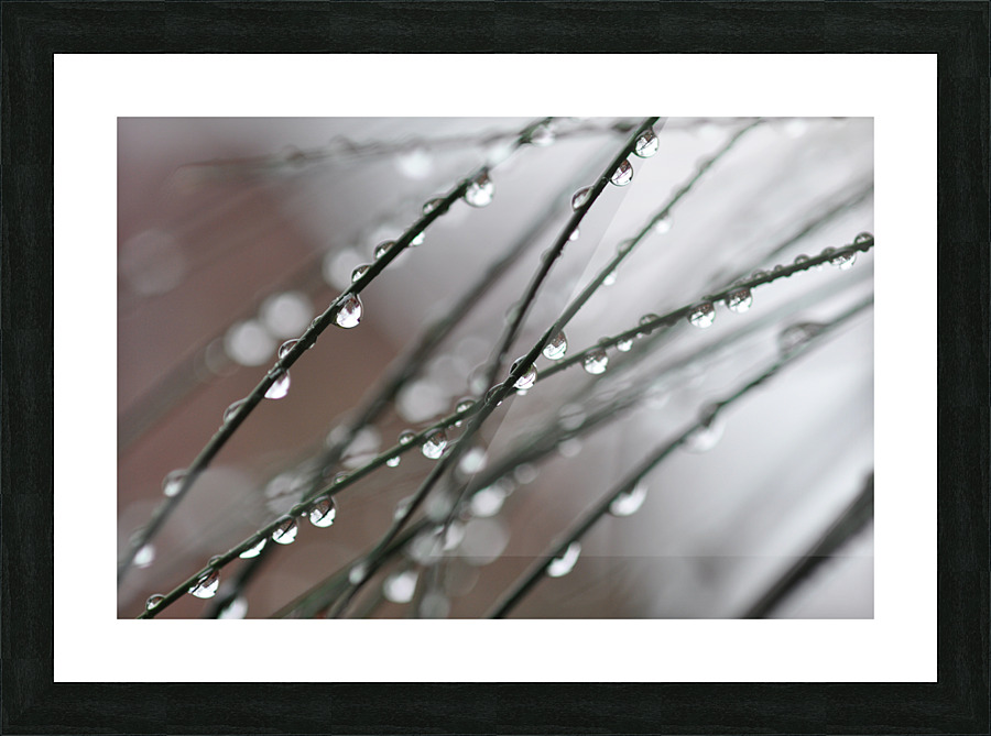 drops Picture Frame print