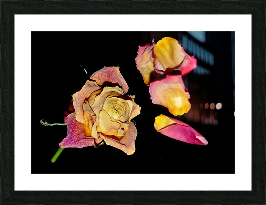 rose Picture Frame print