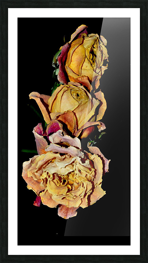roses Picture Frame print