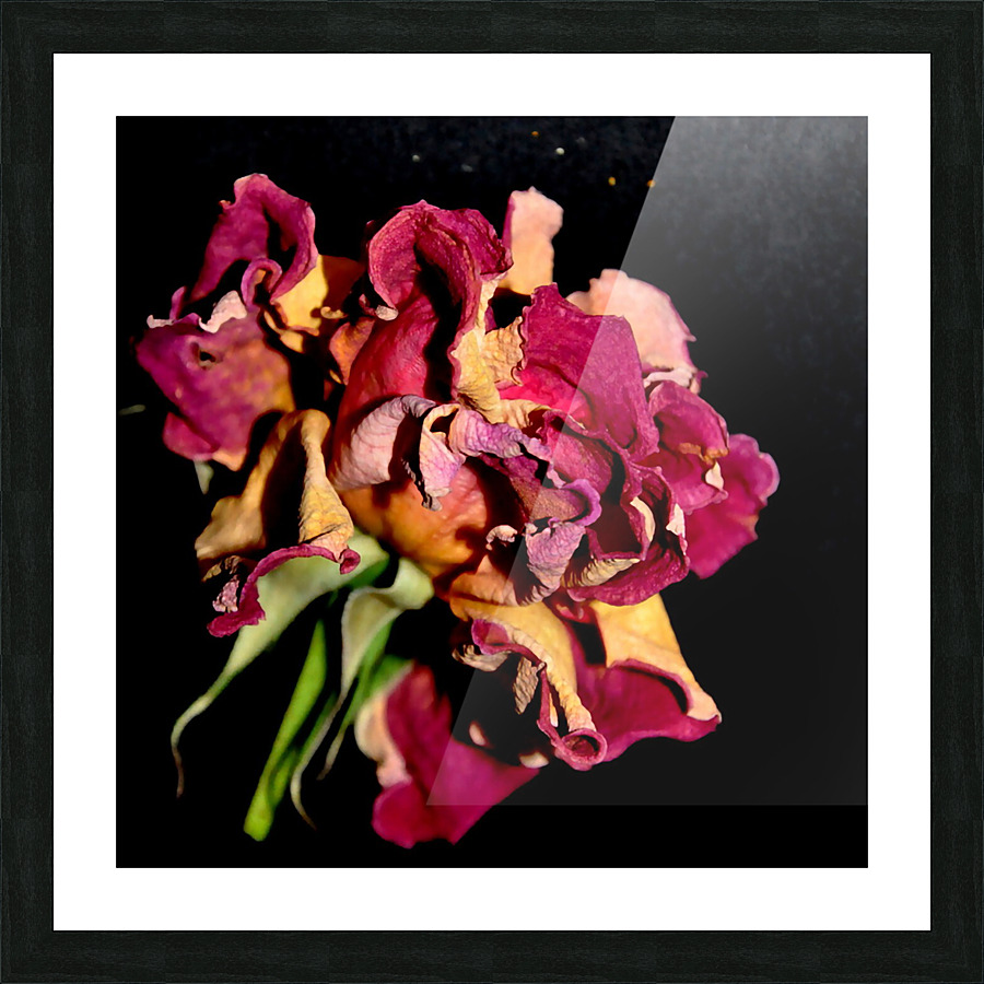 rose Picture Frame print