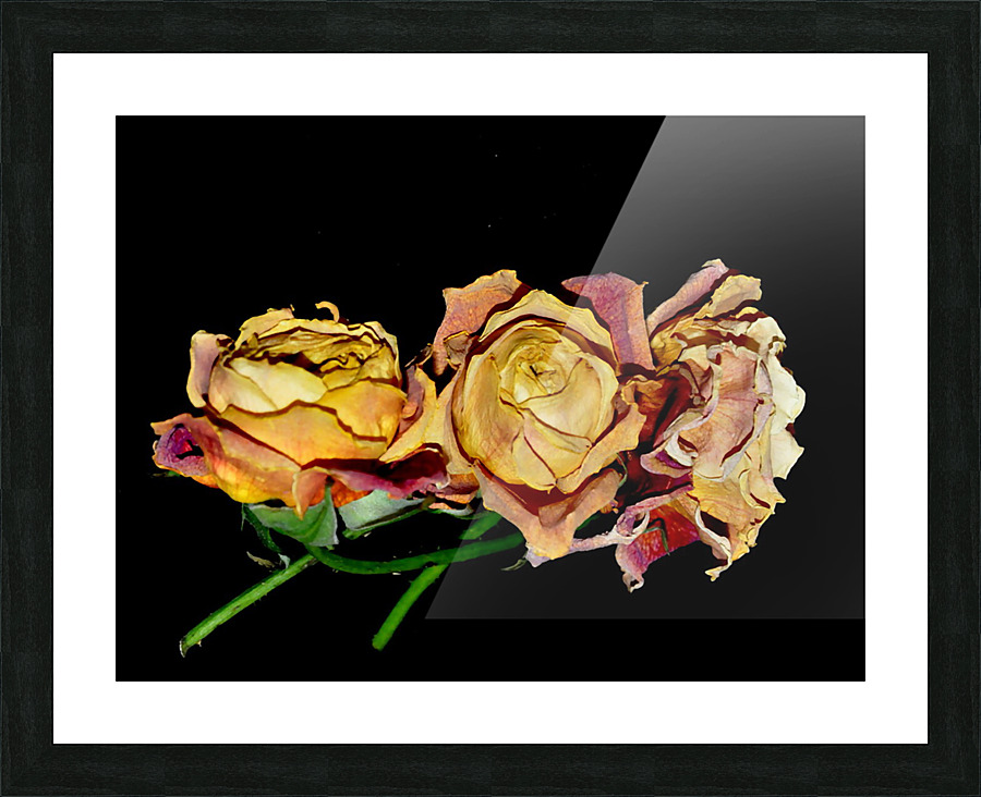 DSC 2238 e Picture Frame print