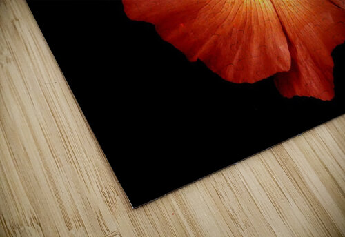 flower fire Sylvie Leandre puzzle