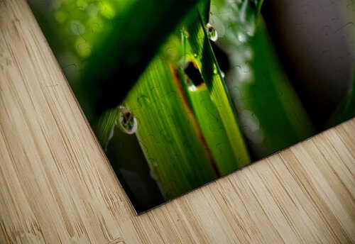 green Sylvie Leandre puzzle