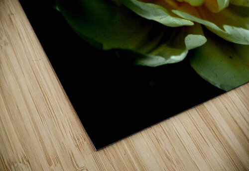 fleur blanche Sylvie Leandre puzzle