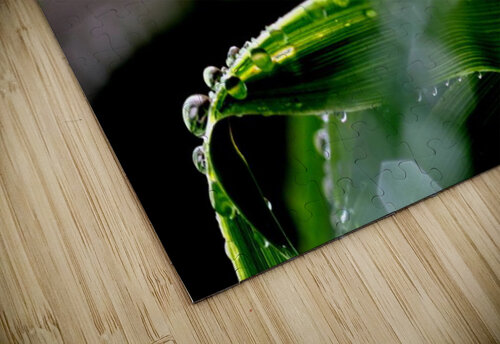 green Sylvie Leandre puzzle