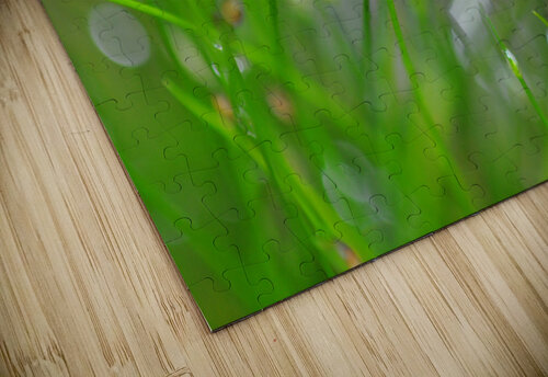 green Sylvie Leandre puzzle