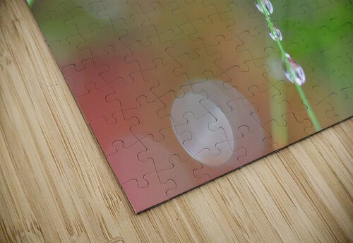 green Sylvie Leandre puzzle