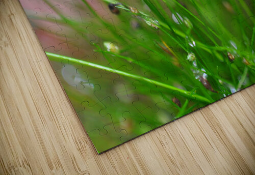 green Sylvie Leandre puzzle