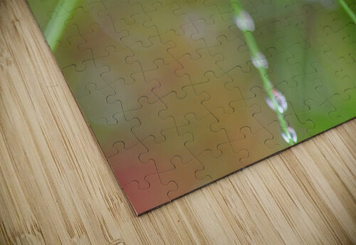 green Sylvie Leandre puzzle