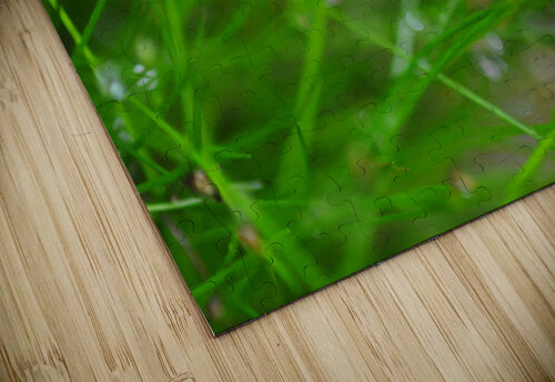 green Sylvie Leandre puzzle