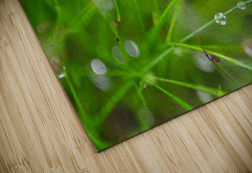 green Sylvie Leandre puzzle