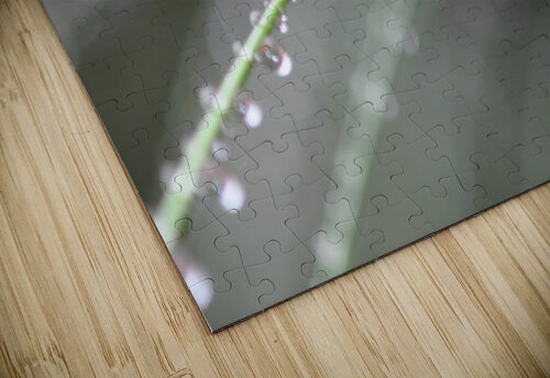 drops Sylvie Leandre puzzle