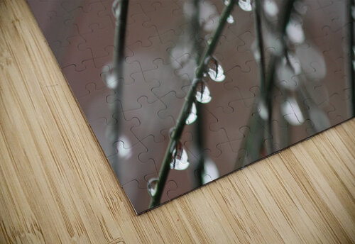 drops Sylvie Leandre puzzle