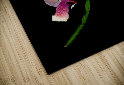 rose Sylvie Leandre puzzle