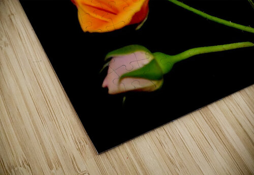 rose Sylvie Leandre puzzle