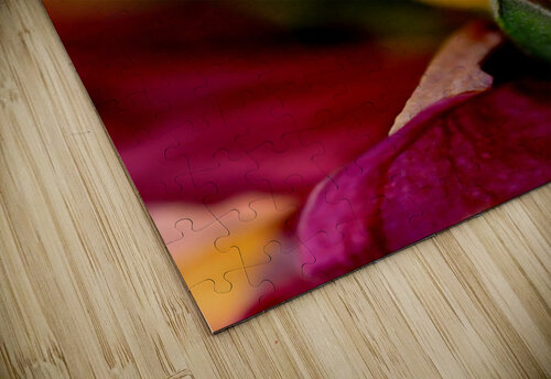 reve de roses Sylvie Leandre puzzle