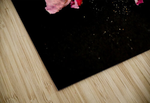 rose Sylvie Leandre puzzle