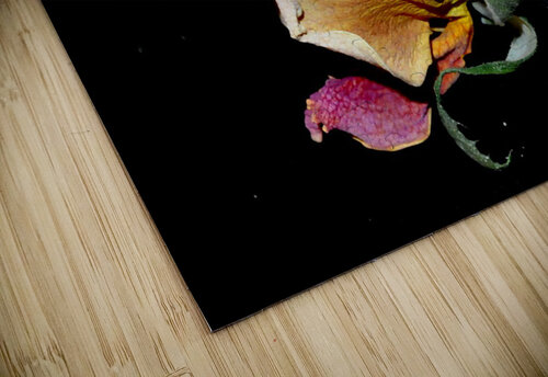 rose Sylvie Leandre puzzle