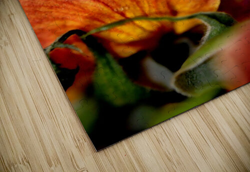 rose Sylvie Leandre puzzle