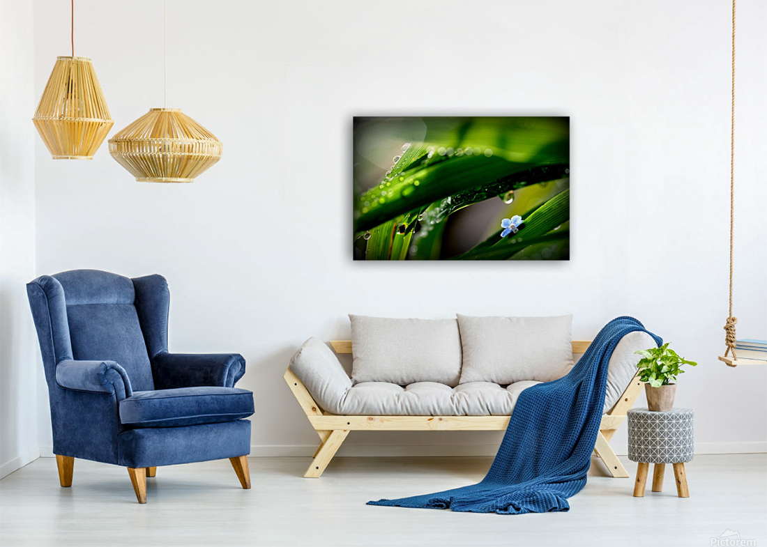 green Reproduction
